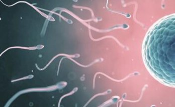 雅安哪些医院开展第三代试管技术呢？附试管全程费用一览