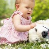 来了！泰国做试管婴儿哪家机构靠谱一点？