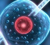 四川生育登记怎么办理2026，成都申请成功后这样打印