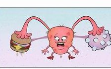 泰国三代试管好的私人医院名单分别是哪些？